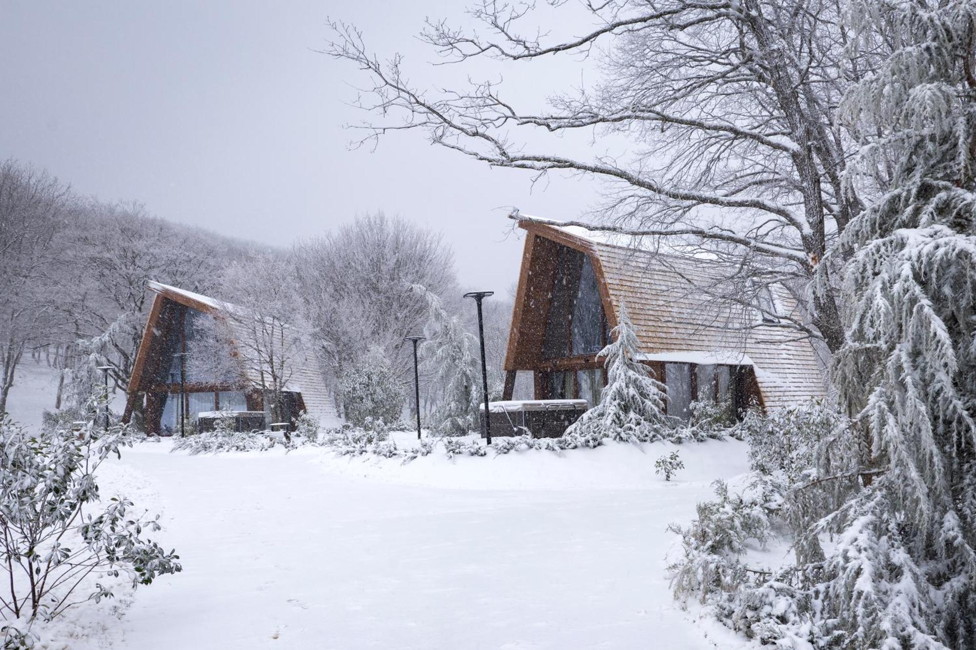 Bioli Wellness Resort Kojori Exterior photo