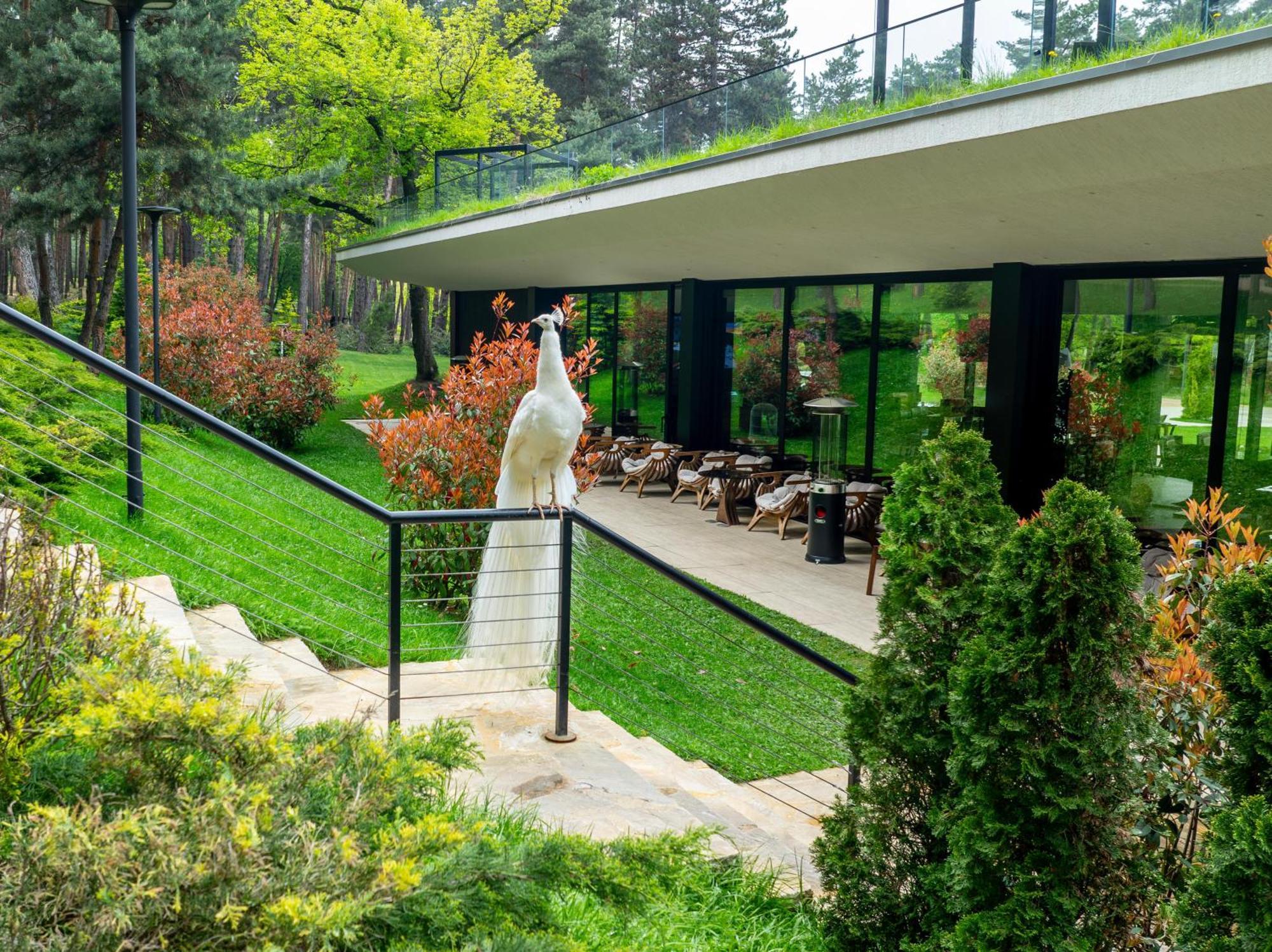 Bioli Wellness Resort Kojori Exterior photo